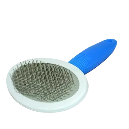 Tesala caini ovala
