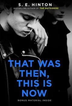 That Was Then, This Is Now, Paperback/S. E. Hinton