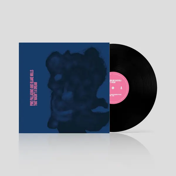 That Wasn't A Dream | Pino Palladino, Blake Mills