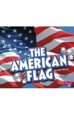 The American Flag - Gail Saunders-smith