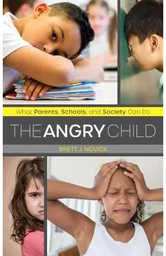 The Angry Child: What Parents, Schools, and Society Can Do - Brett Novick