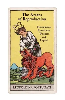 The Arcana of Reproduction. Housewives, Prostitutes, Workers and Capital, Paperback/Leopoldina Fortunati