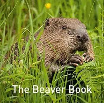 The Beaver Book, Hardback/Hugh Warwick