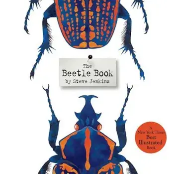 The Beetle Book, Hardcover/Steve Jenkins