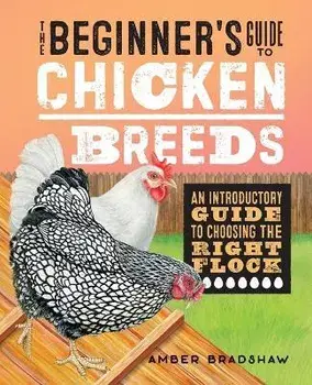 The Beginner's Guide to Chicken Breeds: An Introductory Guide to Choosing the Right Flock, Paperback/Amber Bradshaw
