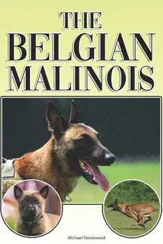 The Belgian Malinois: A Complete and Comprehensive Beginners Guide To: Buying, Owning, Health, Grooming, Training, Obedience, Understanding, Paperback/Michael Stonewood
