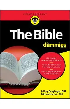 The Bible for Dummies - Jeffrey Geoghegan