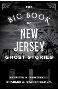 The Big Book of New Jersey Ghost Stories - Patricia A. Martinelli