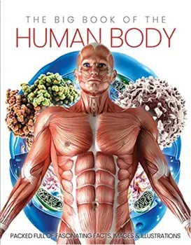 The Big Book of the Human body, Hardback/Katherine Marsh