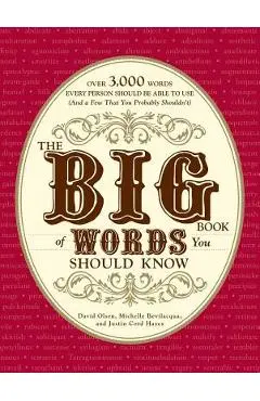 The Big Book of Words You Should Know: Over 3,000 Words Every Person Should Be Able to Use (and a Few That You Probably Shouldn't) - David Olsen