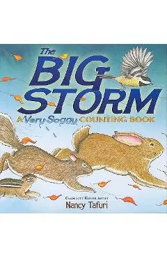 The Big Storm: A Very Soggy Counting Book - Nancy Tafuri