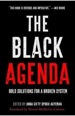 The Black Agenda: Bold Solutions for a Broken System - Anna Gifty Opoku-agyeman