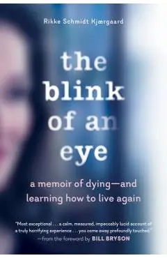 The Blink of an Eye: A Memoir of Dying--And Learning How to Live Again - Rikke Schmidt Kj�rgaard