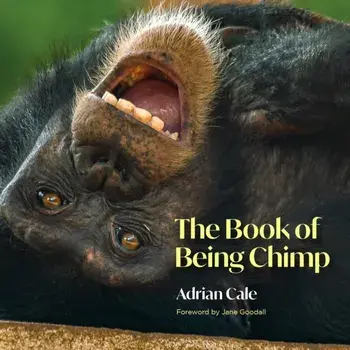 The Book of Being Chimp, Hardback/Adrian Cale
