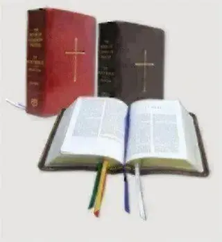 The Book of Common Prayer and the Holy Bible New Revised Standard Version: Red Bonded Leather/Church Publishing