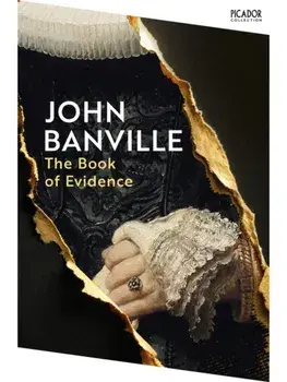 The Book of Evidence, Paperback/John Banville