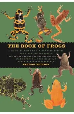The Book of Frogs: A Life-Size Guide to Six Hundred Species from Around the World, Second Edition - Mark O'shea