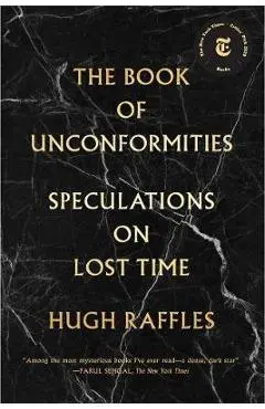 The Book of Unconformities: Speculations on Lost Time - Hugh Raffles