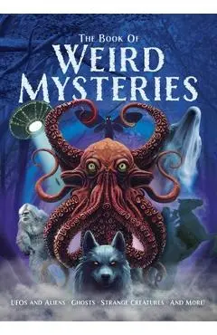 The Book of Weird Mysteries: Ufos, Aliens, Ghosts, Strange Creatures, and More! - John Hawkins