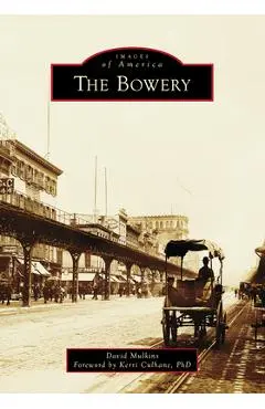 The Bowery - David Mulkins