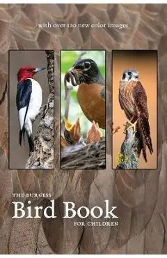 The Burgess Bird Book with new color images - Thornton Burgess