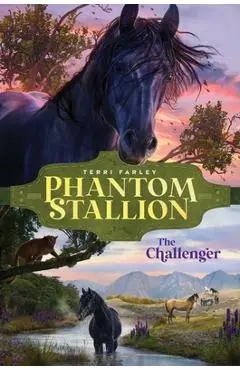 The Challenger - Terri Farley