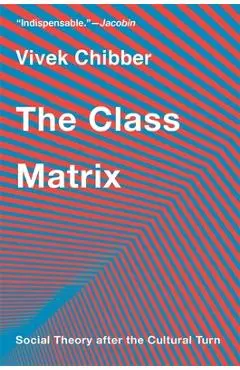 The Class Matrix: Social Theory After the Cultural Turn - Vivek Chibber