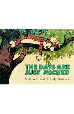 The Days Are Just Packed - Bill Watterson