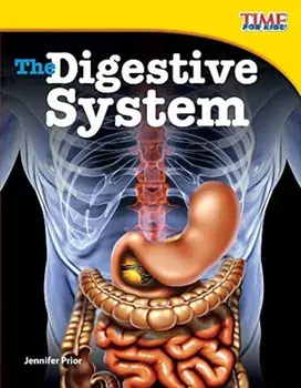 The Digestive System, Paperback/Jennifer Prior