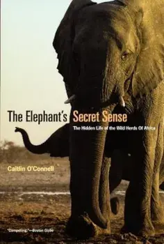 The Elephant's Secret Sense: The Hidden Life of the Wild Herds of Africa, Paperback/Caitlin O'Connell