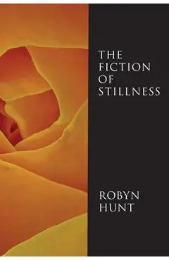 The Fiction of Stillness - Robyn Hunt