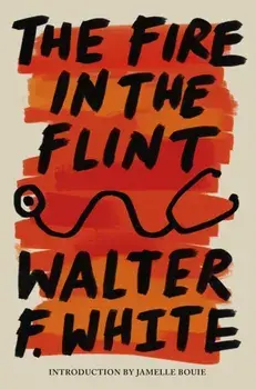 The Fire in the Flint, Paperback/Walter F. White