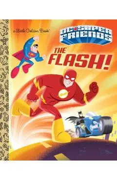 The Flash! (DC Super Friends) - Frank Berrios