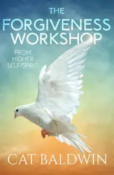 The Forgiveness Workshop. From Higher Self/Spirit, Paperback/Cat (Cat Baldwin) Baldwin