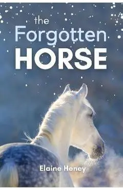 The Forgotten Horse - Book 1 in the Connemara Horse Adventure Series for Kids. The perfect gift for children age 8-12. - Elaine Heney