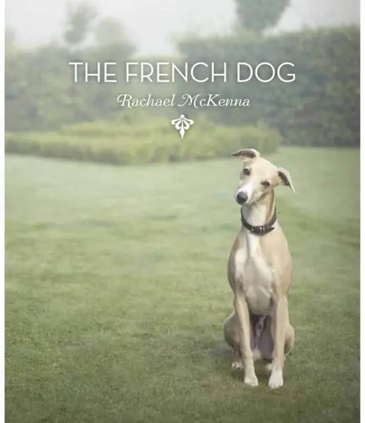 The French Dog | Rachael McKenna