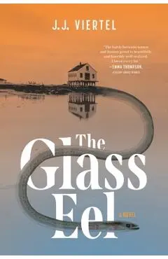 The Glass Eel - J. J. Viertel