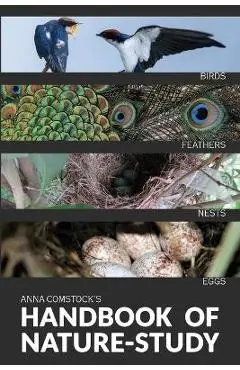 The Handbook Of Nature Study in Color - Birds - Anna B. Comstock