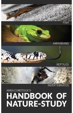 The Handbook Of Nature Study in Color - Fish, Reptiles, Amphibians, Invertebrates - Anna Comtock