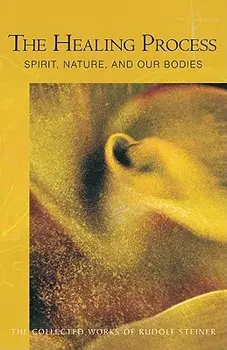 The Healing Process: Spirit, Nature & Our Bodies (Cw 319), Paperback/Rudolf Steiner
