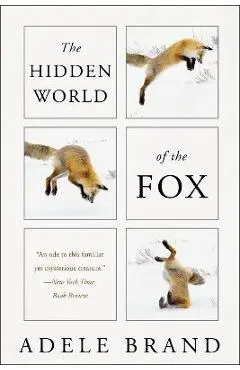 The Hidden World of the Fox - Adele Brand