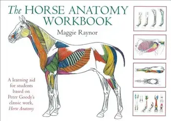 The Horse Anatomy Workbook: A Learning Aid for Students Based on Peter Goody's Classic Work, Horse Anatomy, Paperback/Maggie Raynor
