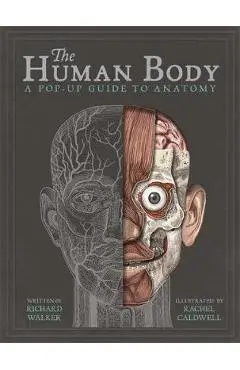 The Human Body