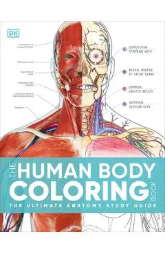 The Human Body Coloring Book: The Ultimate Anatomy Study Guide, Second Edition - Dk