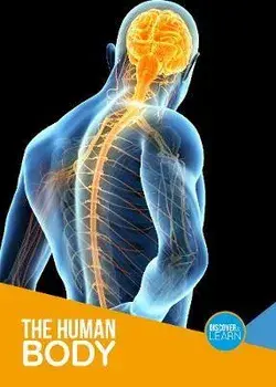 The Human Body, Paperback/Joanna Brundle
