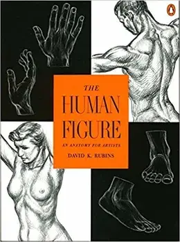 The Human Figure: An Anatomy for Artists, Paperback/David K. Rubins