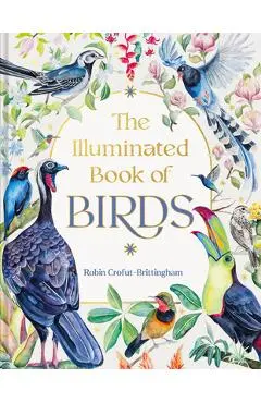 The Illuminated Book of Birds - Robin Crofut-brittingham
