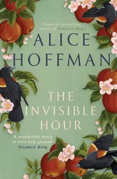 The Invisible Hour, Hardback/Alice Hoffman