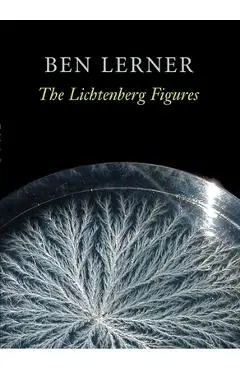 The Lichtenberg Figures - Ben Lerner