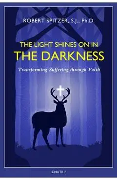 The Light Shines on in the Darkness, Volume 4: Transforming Suffering Through Faith - Fr Robert J. Spitzer